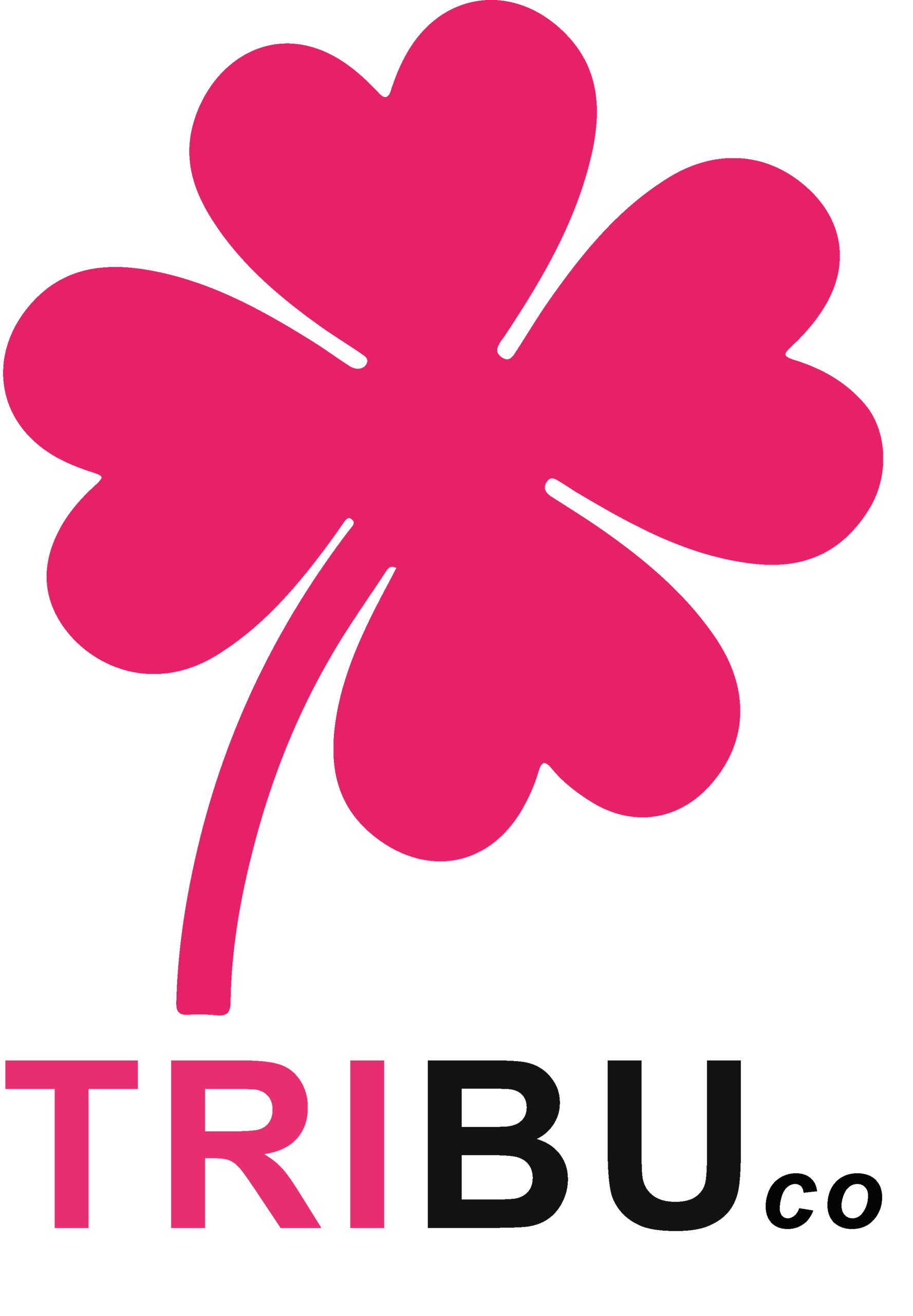 Tribu Company